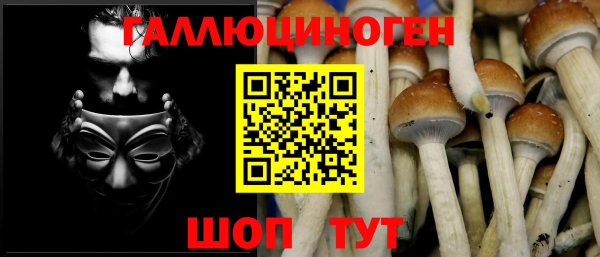 Галлюциногенные грибы мухоморы  Псилоцибиновые грибы Cubensis  как найти   Артём  Вход с VPN 